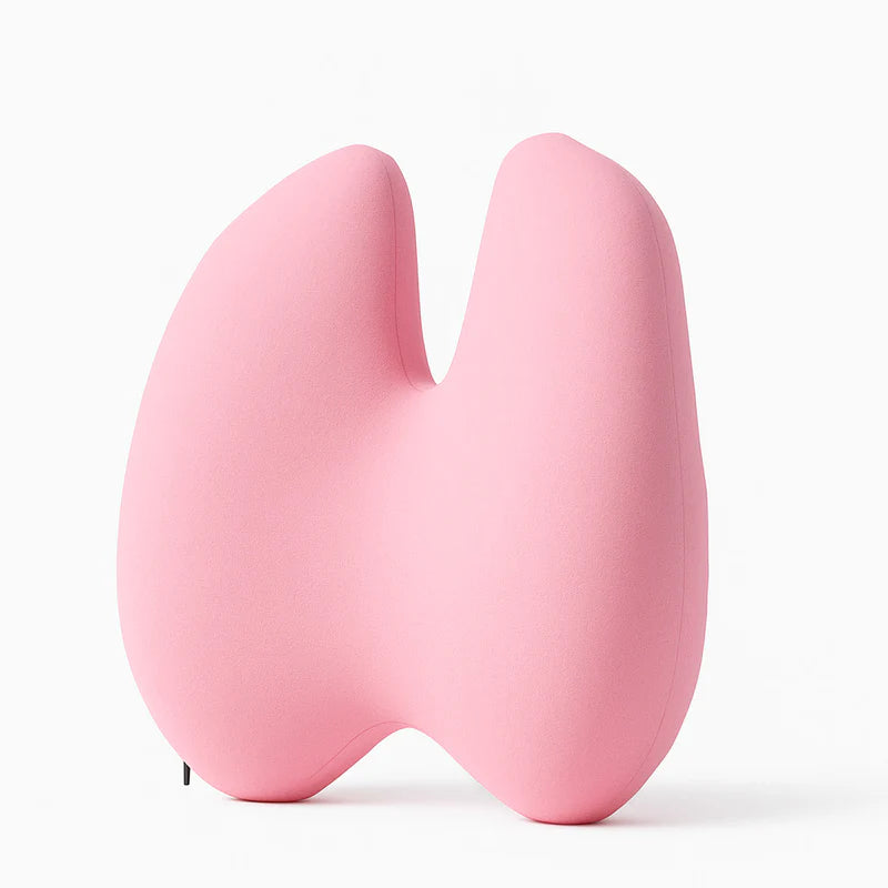 LumbarLux | Ergonomisch Rugkussen