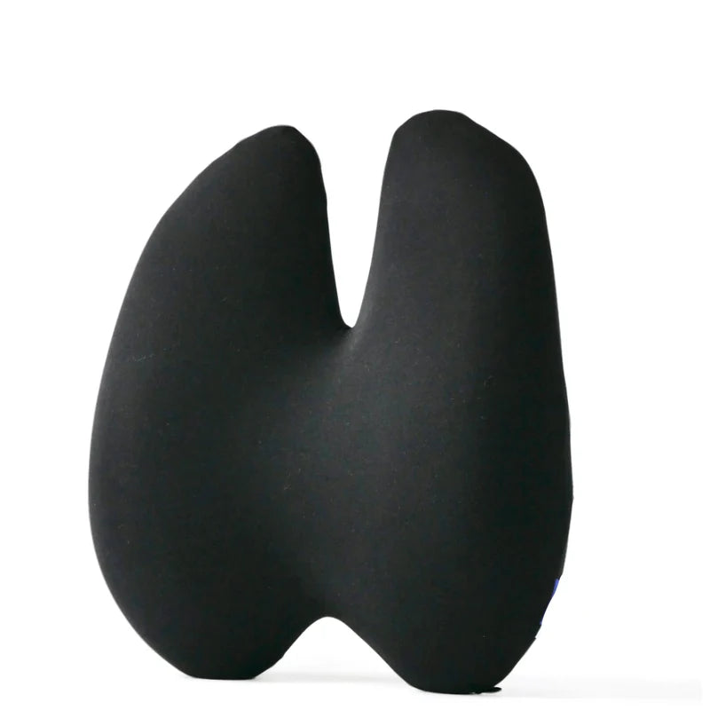 LumbarLux | Ergonomisch Rugkussen